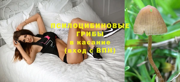 марихуана Богородицк