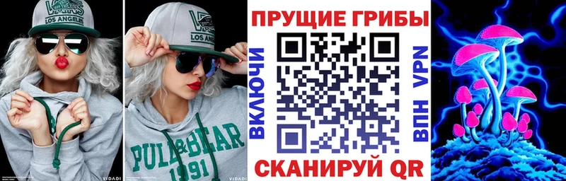 mega зеркало  купить наркотик  Михайлов  Галлюциногенные грибы Psilocybine cubensis 
